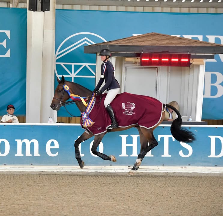 CPHA - California Professional Horsemen's Association