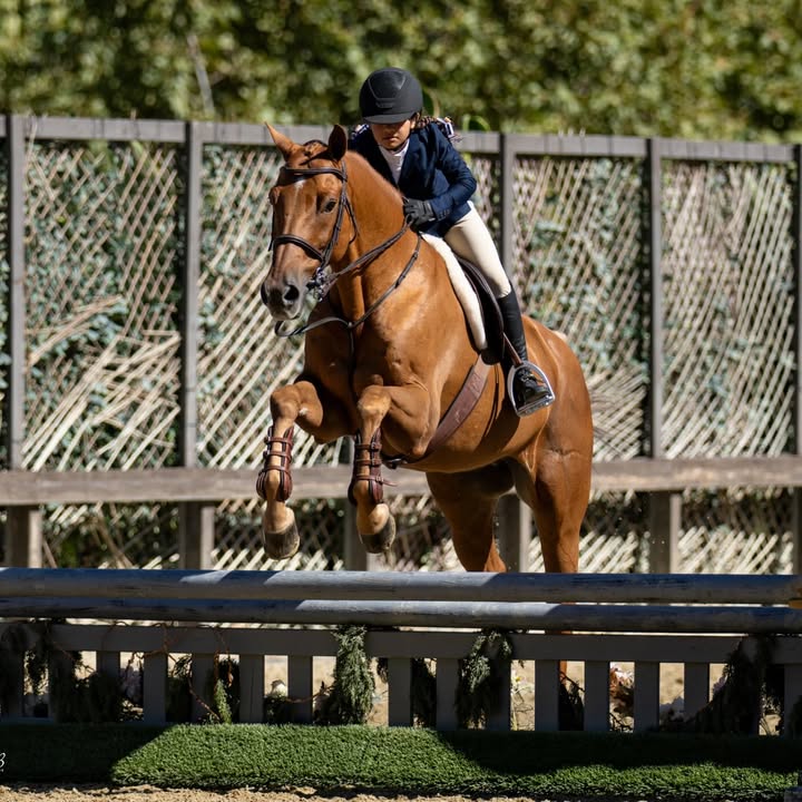 CPHA - California Professional Horsemen's Association