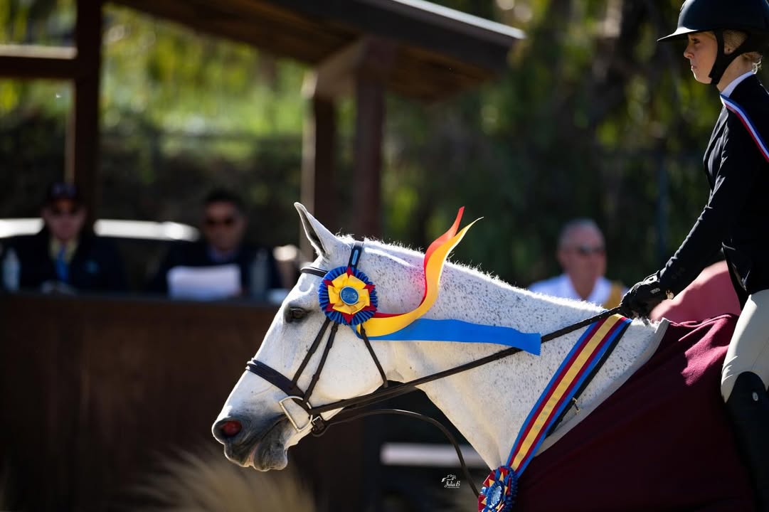 CPHA - California Professional Horsemen's Association