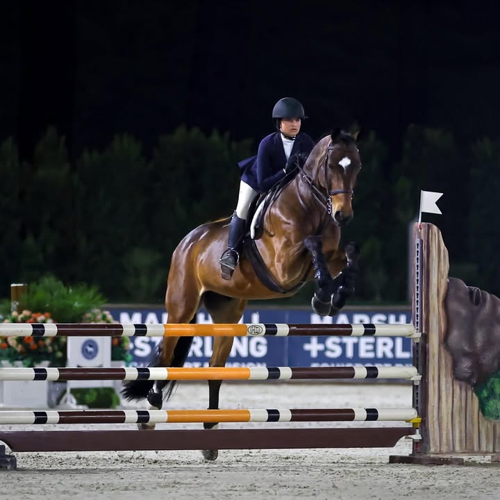 CPHA - California Professional Horsemen's Association