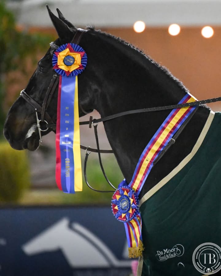 CPHA - California Professional Horsemen's Association